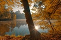 Beautiful autumn sunrise scenery of TrakoÃÂ¡Ãâ¡an Castle on the hill reflected in the lake in Croatia, county hrvatsko zagorje